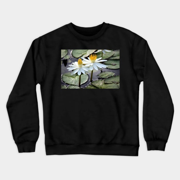 Beautiful Water Lily Crewneck Sweatshirt by croper